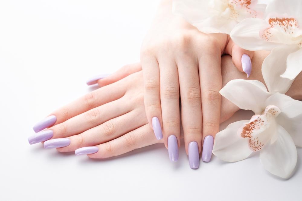 shutterstock_2247961683
